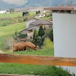 El Nuevo Semellon Aceptamos Mascotas Hotel Tineo