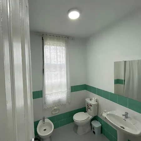 El Nuevo Semellon Aceptamos Mascotas