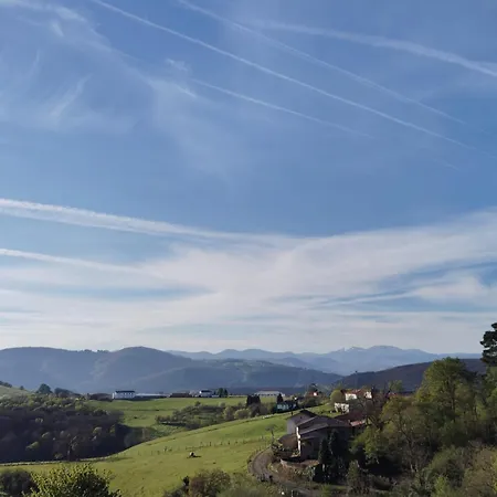 Hotel El Nuevo Semellon Aceptamos Mascotas