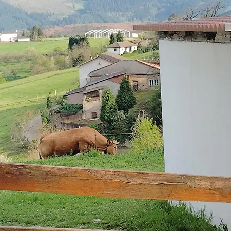 El Nuevo Semellon Aceptamos Mascotas Hotel Tineo