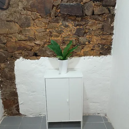 El Nuevo Semellon Aceptamos Mascotas